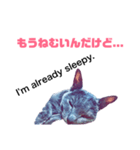 とのくん2（個別スタンプ：3）