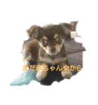 もんろーさんとあたし（個別スタンプ：3）
