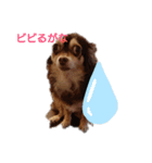 もんろーさんとあたし（個別スタンプ：6）