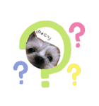 みるくのスタンプ（犬）（個別スタンプ：23）