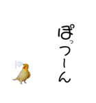 オカメのピー（個別スタンプ：12）