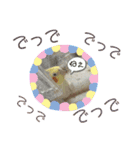 オカメのピー（個別スタンプ：15）