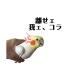 オカメのピー（個別スタンプ：18）
