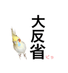 オカメのピー（個別スタンプ：22）