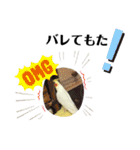 オカメのピー（個別スタンプ：26）