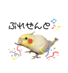 オカメのピー（個別スタンプ：27）