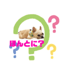 フレブル、さくらちゃんのデコメスタンプ（個別スタンプ：3）