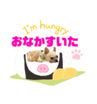 フレブル、さくらちゃんのデコメスタンプ（個別スタンプ：4）