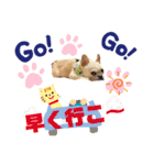 フレブル、さくらちゃんのデコメスタンプ（個別スタンプ：7）