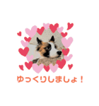 もちちゃん ！（Picture version）（個別スタンプ：4）