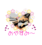もちちゃん ！（Picture version）（個別スタンプ：5）