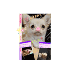 ☆☆★★〇〇◆◆（個別スタンプ：3）