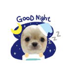 ☆☆★★〇〇◆◆（個別スタンプ：4）