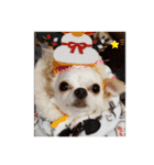 ☆☆★★〇〇◆◆（個別スタンプ：6）