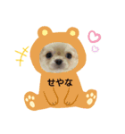 ☆☆★★〇〇◆◆（個別スタンプ：7）