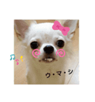☆☆★★〇〇◆◆（個別スタンプ：10）