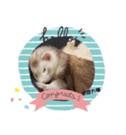 ☆☆★★〇〇◆◆（個別スタンプ：11）