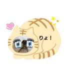 ☆☆★★〇〇◆◆（個別スタンプ：13）