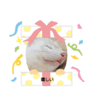 ☆☆★★〇〇◆◆（個別スタンプ：16）