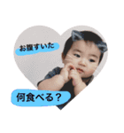 信玄丸（個別スタンプ：2）