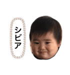 信玄丸（個別スタンプ：3）