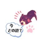 パピヨンのスタンプ(Pudding)（個別スタンプ：20）