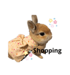 はなろい うさぎで日常会話（個別スタンプ：7）