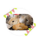 はなろい うさぎで日常会話（個別スタンプ：15）