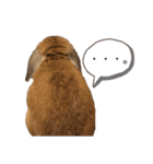 はなろい うさぎで日常会話（個別スタンプ：18）