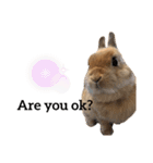 はなろい うさぎで日常会話（個別スタンプ：23）