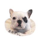 FB愉快な仲間たち（個別スタンプ：6）