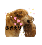 福の福ふくスタンプ（個別スタンプ：3）