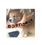 福の福ふくスタンプ（個別スタンプ：4）