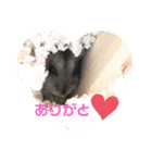 ロキ✩.*˚チロこぉぉぉっ（個別スタンプ：10）