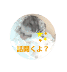 ロキ✩.*˚チロこぉぉぉっ（個別スタンプ：17）