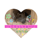 ロキ✩.*˚チロこぉぉぉっ（個別スタンプ：23）