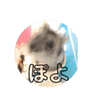 ロキ✩.*˚チロこぉぉぉっ（個別スタンプ：29）