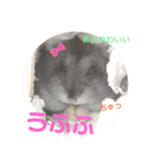 ロキ✩.*˚チロこぉぉぉっ（個別スタンプ：30）