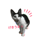 ソラちゃん印（個別スタンプ：5）