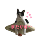 ソラちゃん印（個別スタンプ：7）
