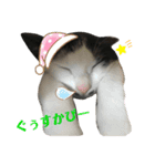 ソラちゃん印（個別スタンプ：9）
