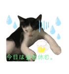 ソラちゃん印（個別スタンプ：24）