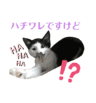 ソラちゃん印（個別スタンプ：25）