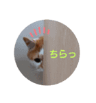 空っちの日常生活言葉（個別スタンプ：1）