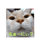 空っちの日常生活言葉（個別スタンプ：2）