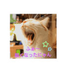 空っちの日常生活言葉（個別スタンプ：3）
