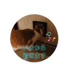 空っちの日常生活言葉（個別スタンプ：8）