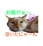空っちの日常生活言葉（個別スタンプ：10）