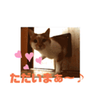 空っちの日常生活言葉（個別スタンプ：14）