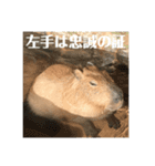 しかるべくなカピバラ（個別スタンプ：11）